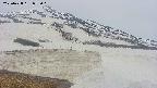 area1-20250428072018.jpg