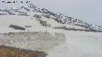 area1-20250428075026.jpg