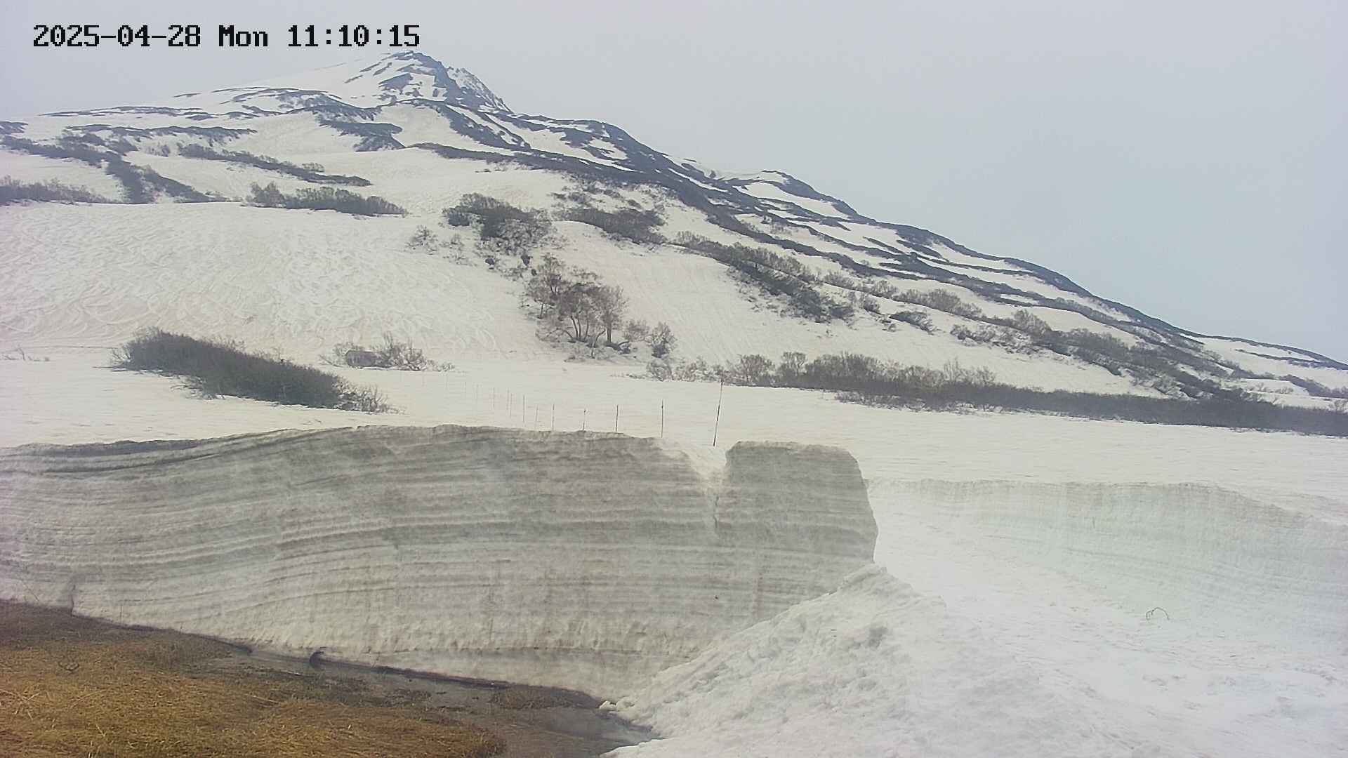 area1-20250428111024.jpg