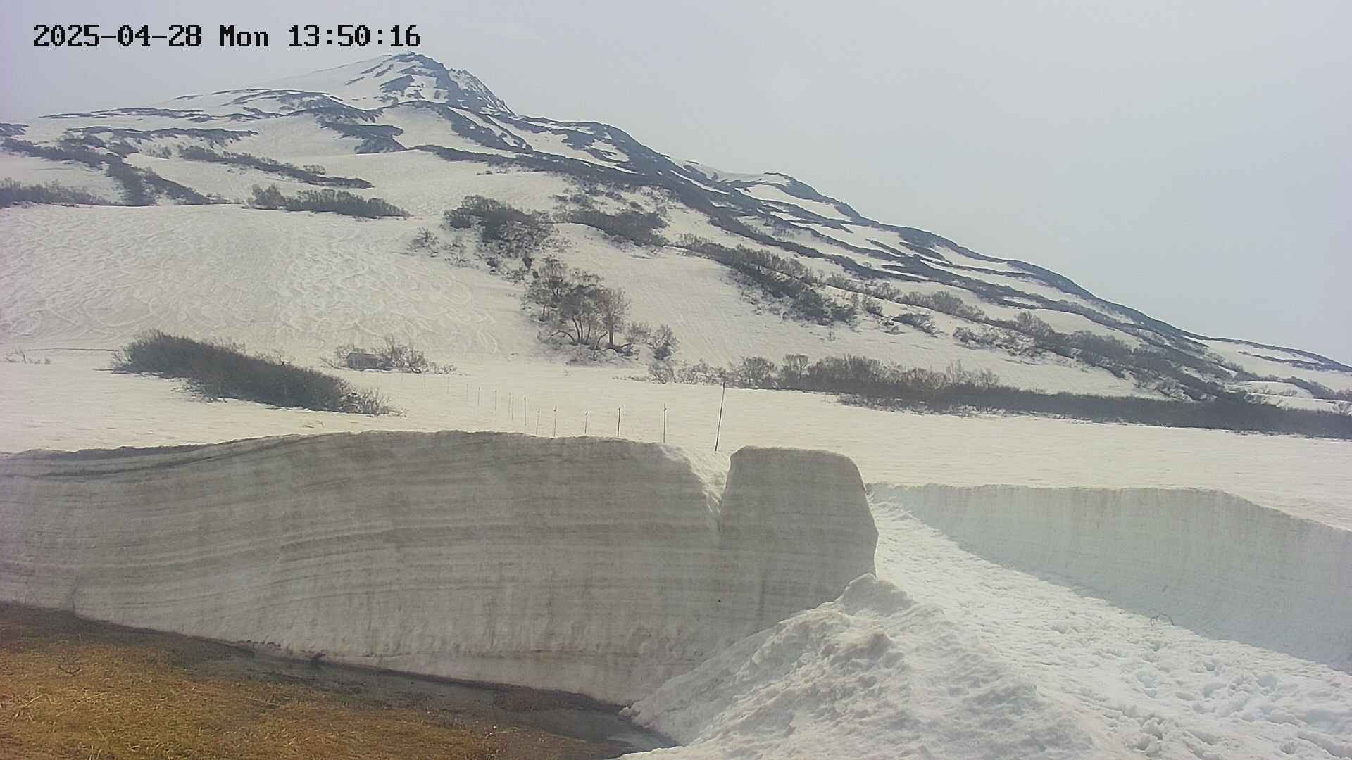 area1-20250428135017.jpg