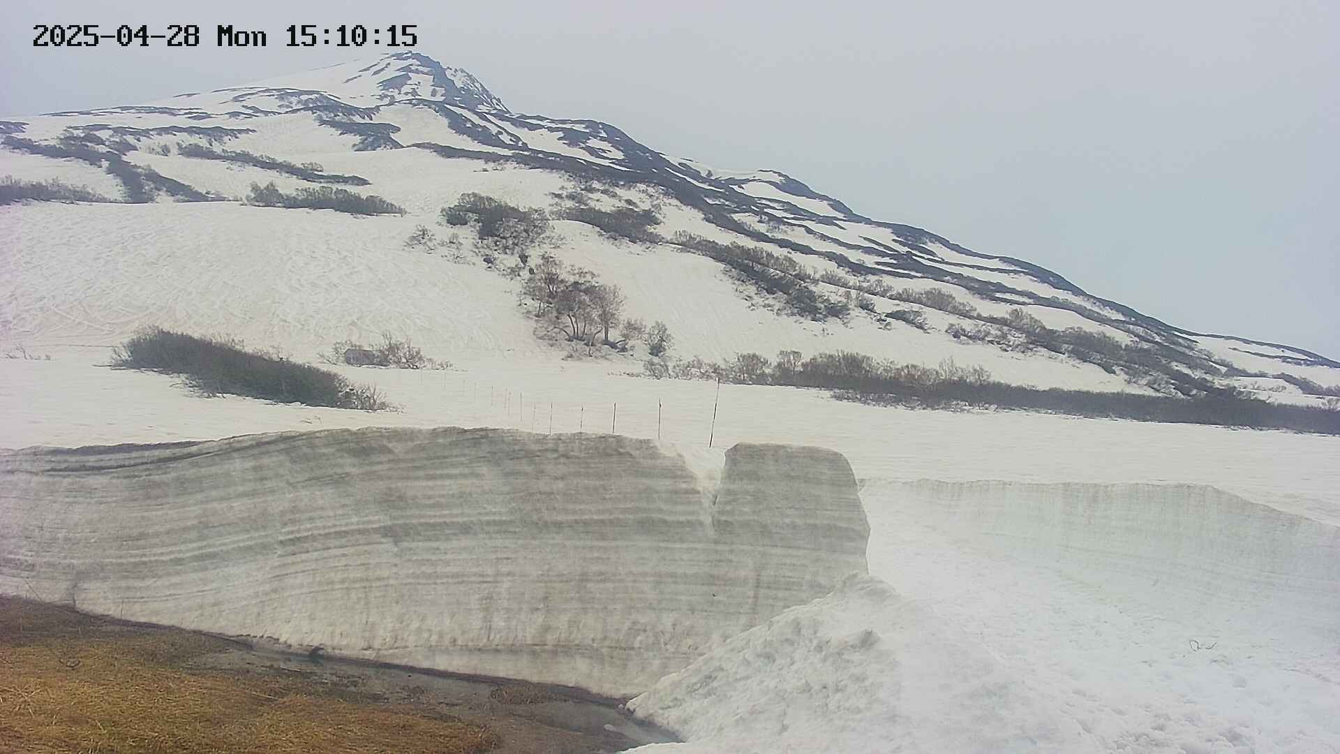 area1-20250428151017.jpg