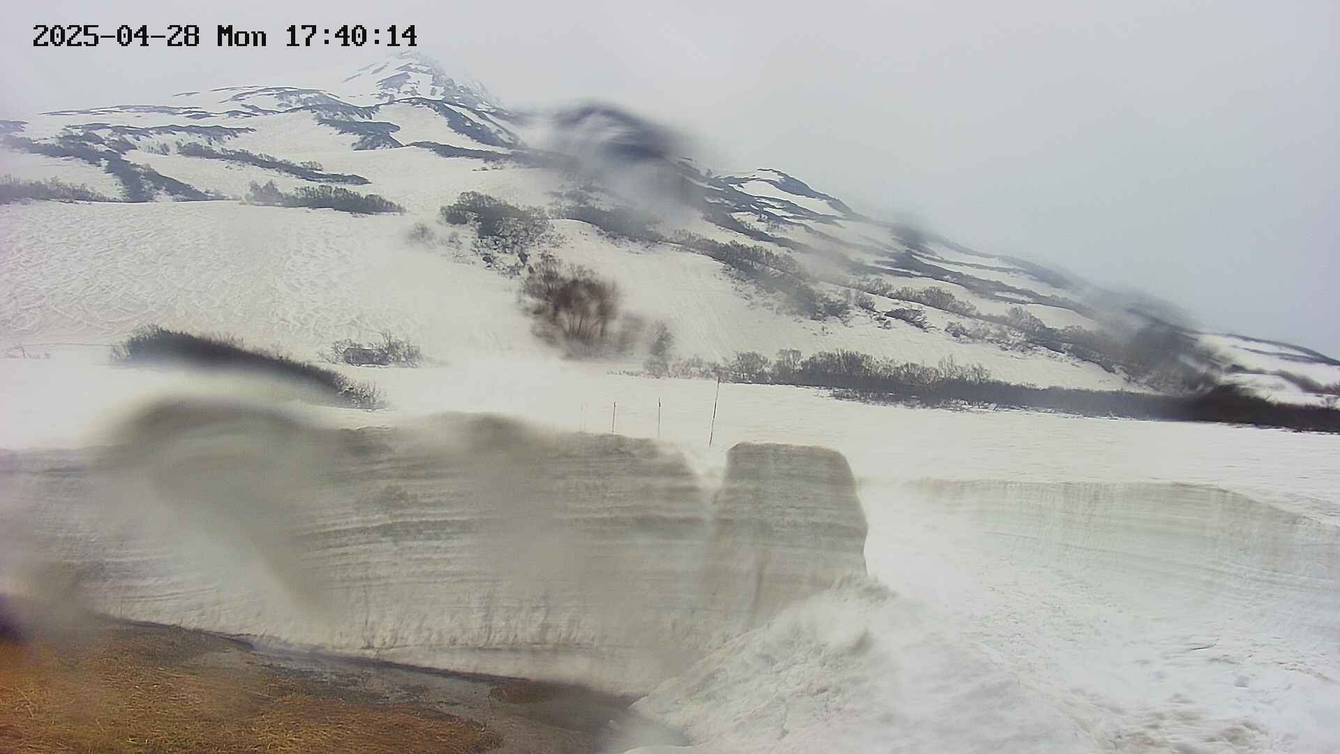 area1-20250428174023.jpg