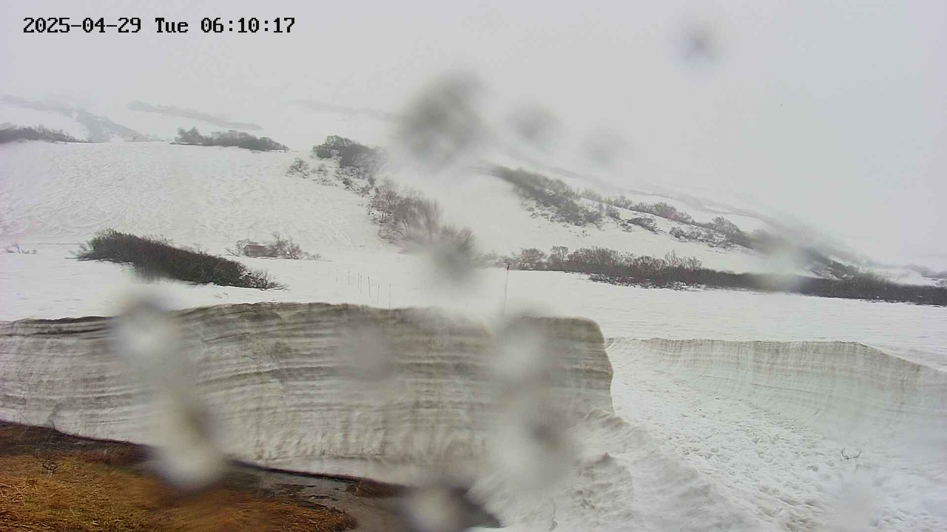 area1-20250429061018.jpg