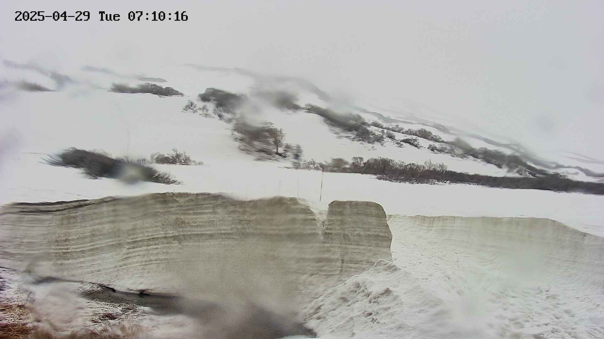 area1-20250429071020.jpg