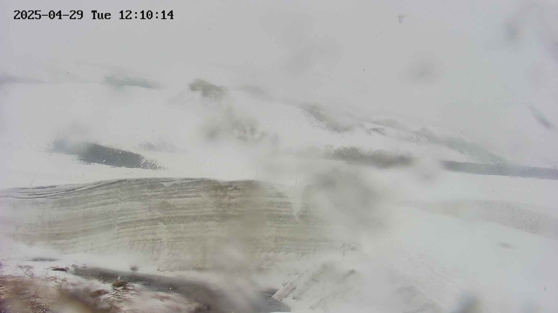 area1-20250429121017.jpg