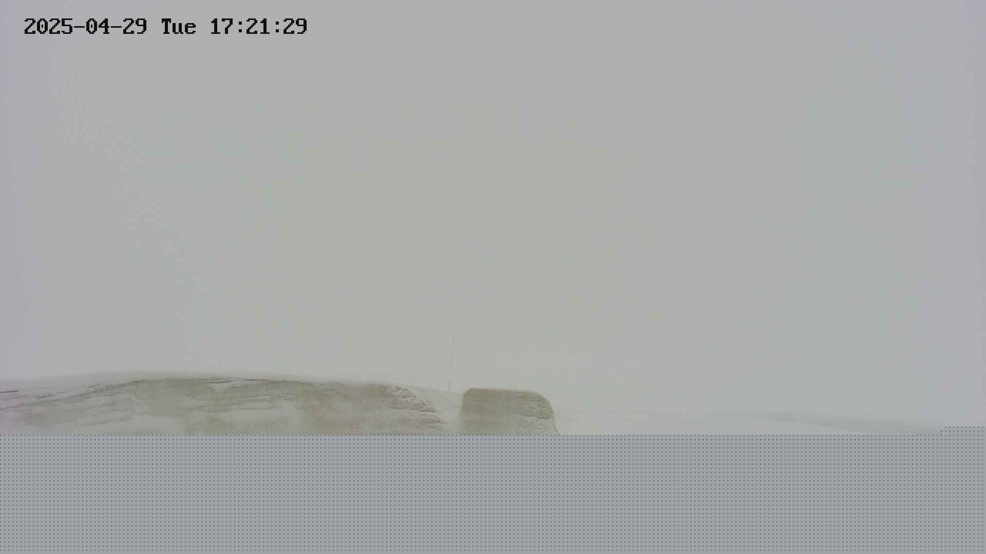 area1-20250429172157.jpg