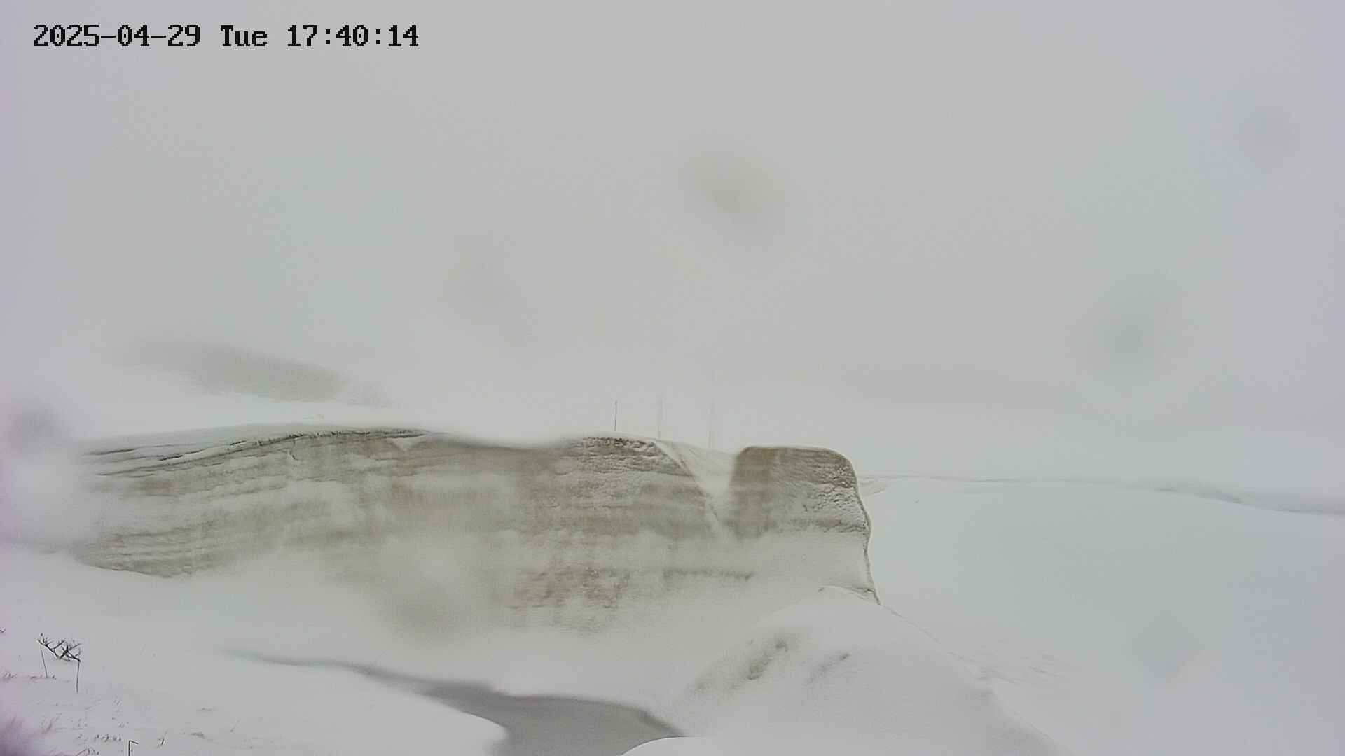 area1-20250429174017.jpg