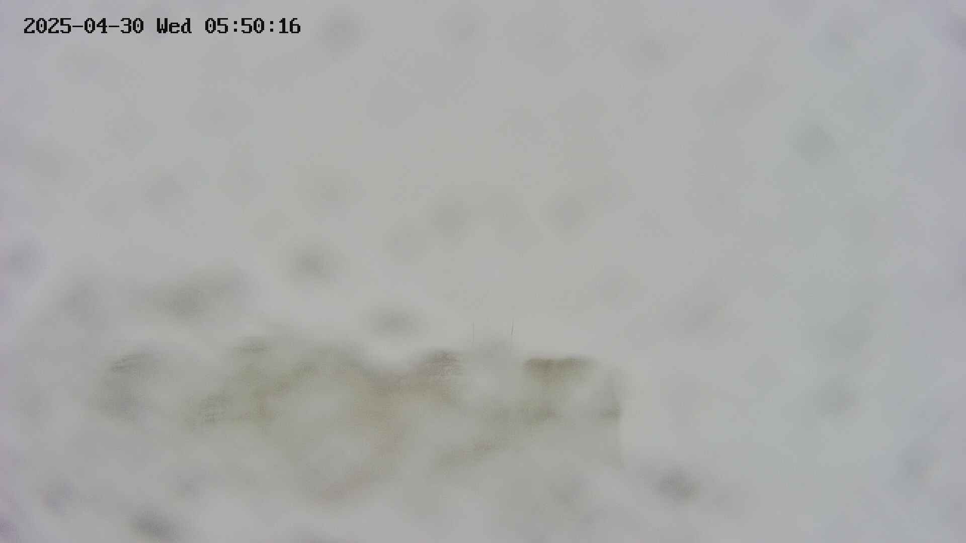 area1-20250430055016.jpg