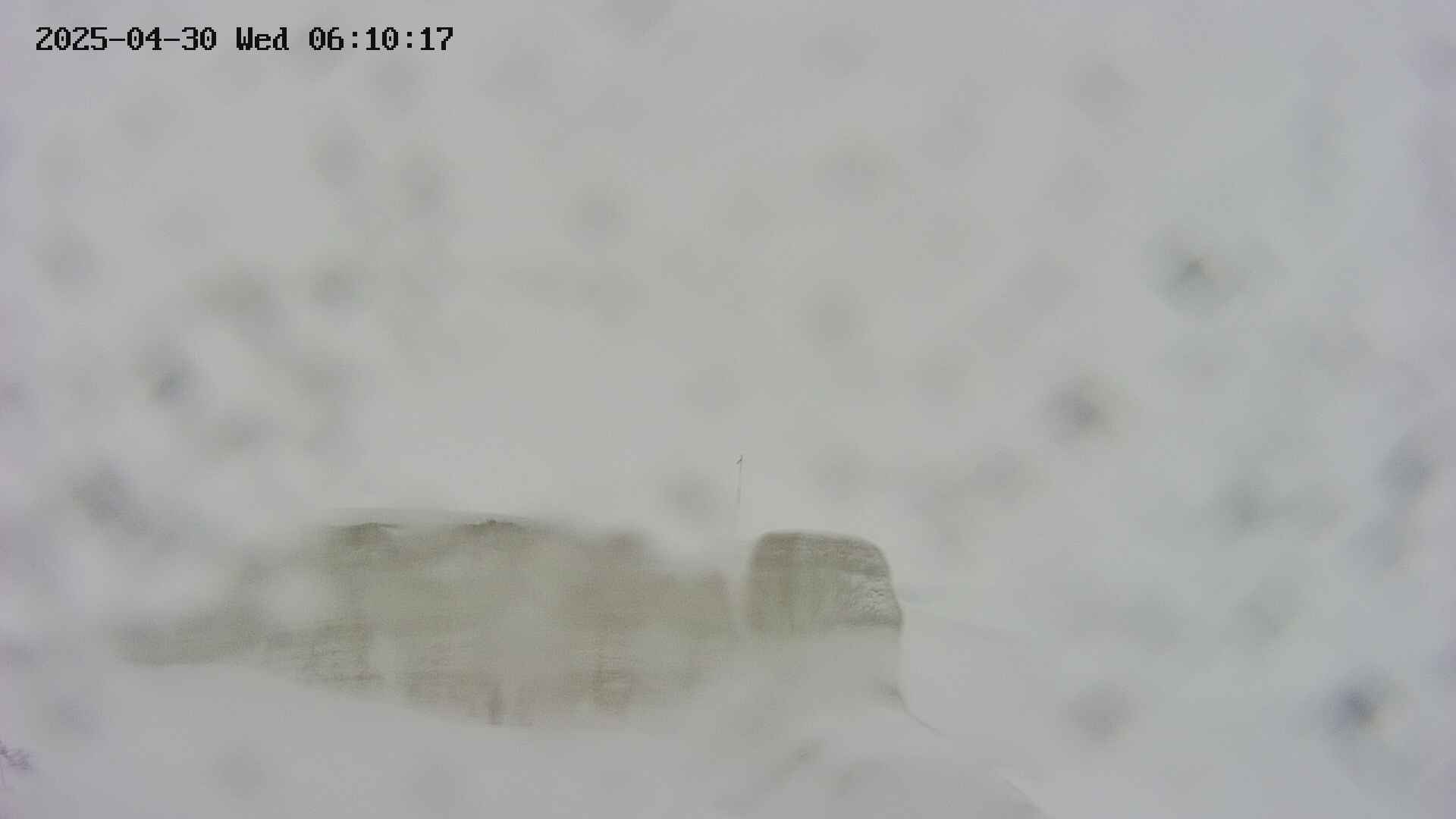 area1-20250430061017.jpg