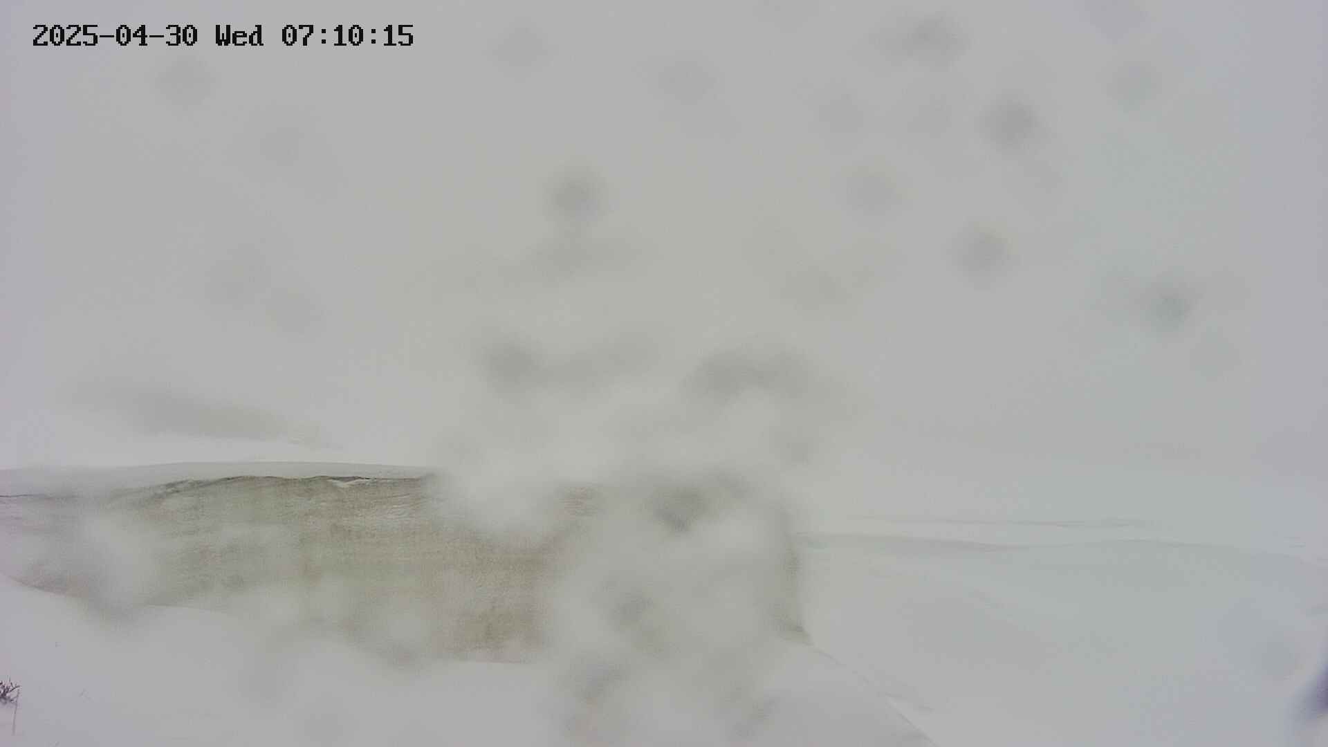 area1-20250430071016.jpg