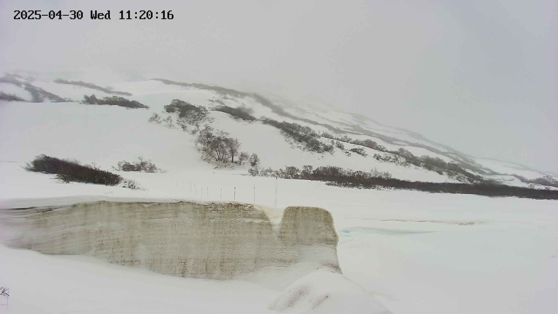 area1-20250430112023.jpg