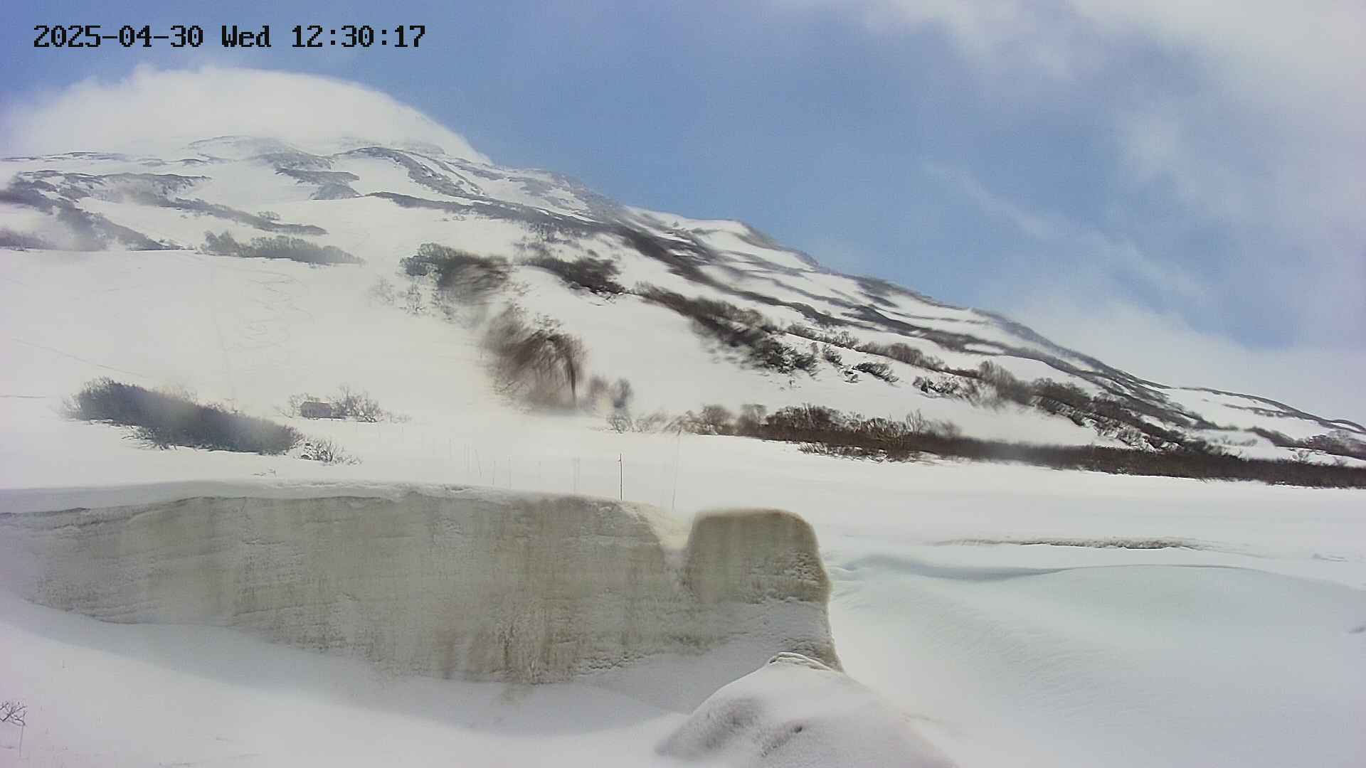 area1-20250430123044.jpg