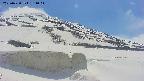 area1-20250430131034.jpg