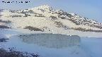 area1-20250501054017.jpg