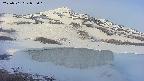 area1-20250501055020.jpg