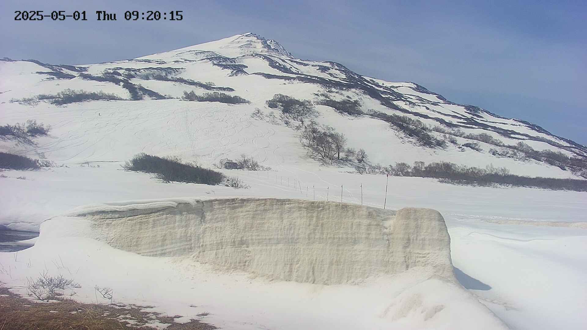 area1-20250501092020.jpg