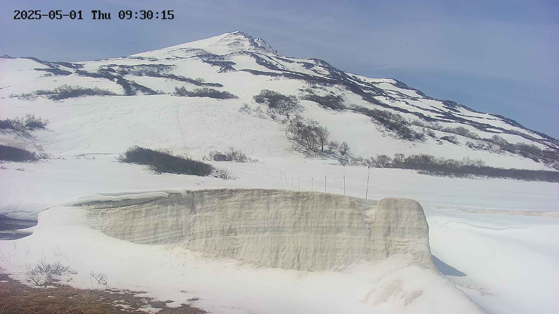 area1-20250501093019.jpg