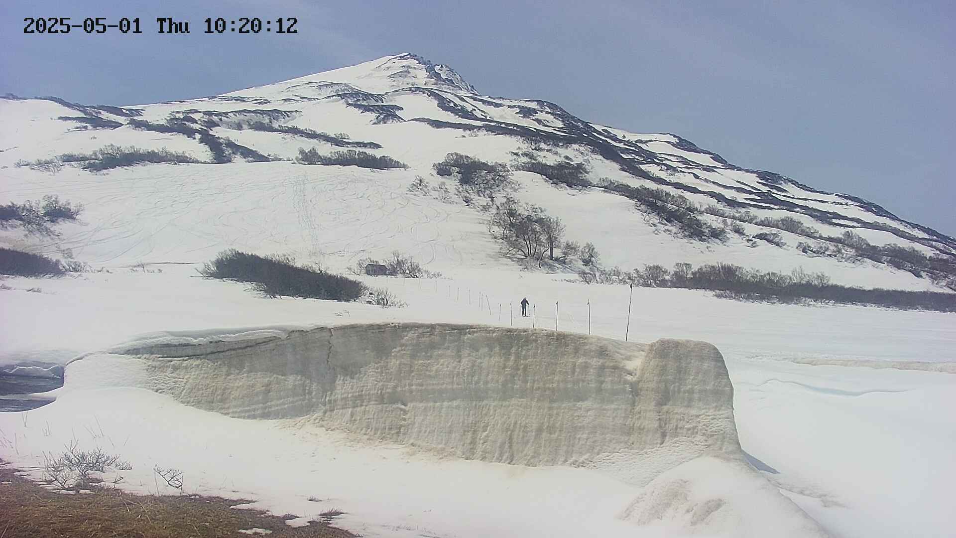 area1-20250501102017.jpg