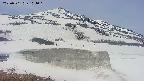 area1-20250501104017.jpg