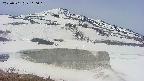 area1-20250501110017.jpg