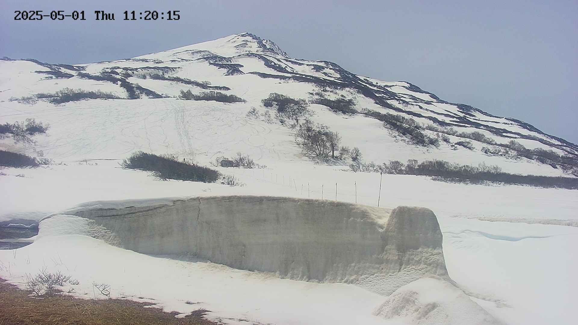 area1-20250501112016.jpg