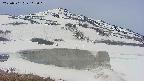 area1-20250501112016.jpg