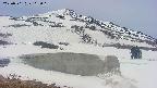 area1-20250501113017.jpg