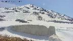 area1-20250501135020.jpg