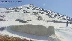 area1-20250501140023.jpg