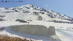 area1-20250501142020.jpg