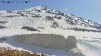 area1-20250501144021.jpg
