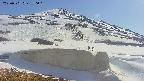 area1-20250501150024.jpg