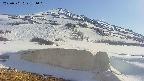 area1-20250501154036.jpg