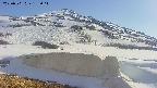 area1-20250501155039.jpg