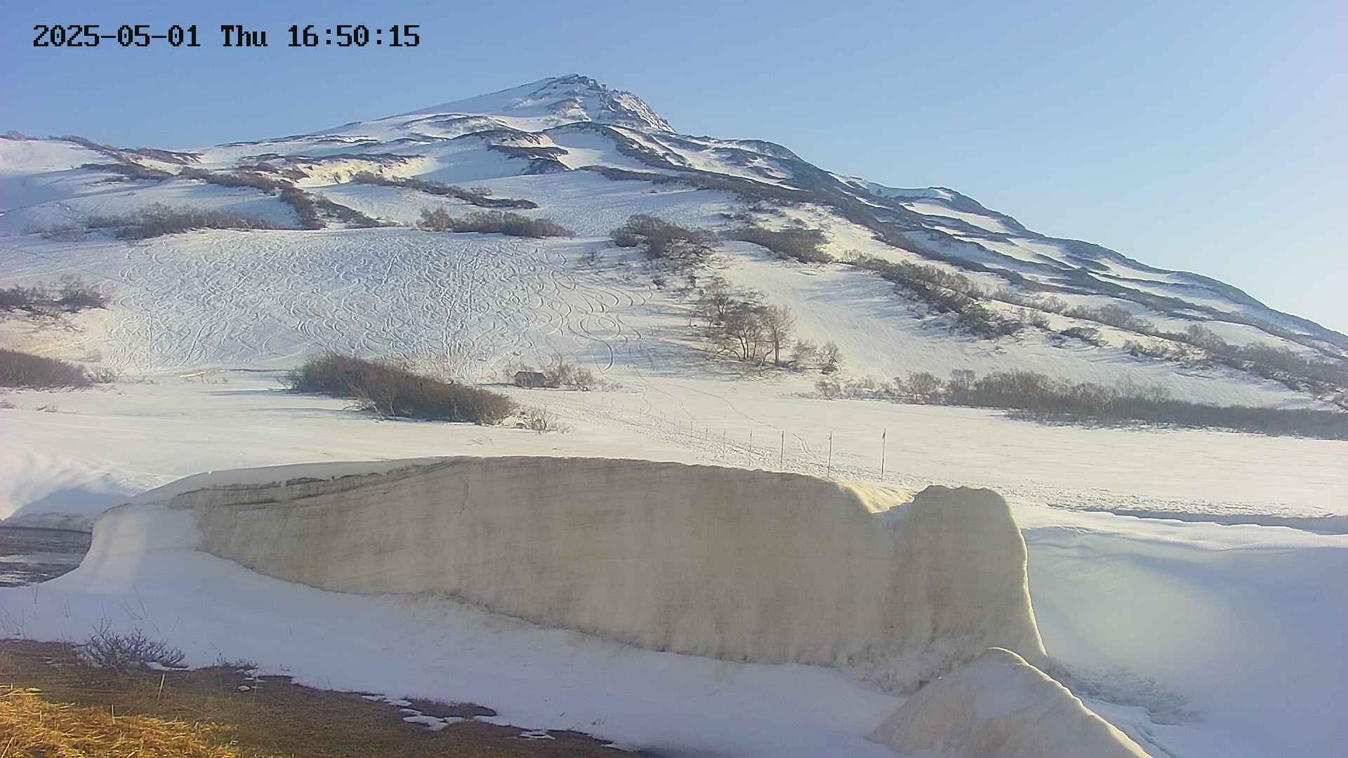 area1-20250501165019.jpg