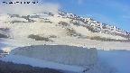area1-20250502060017.jpg