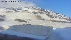area1-20250502062016.jpg