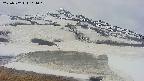 area1-20250502104020.jpg