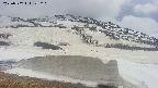 area1-20250502125227.jpg