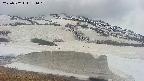 area1-20250502131020.jpg