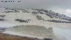 area1-20250502133018.jpg