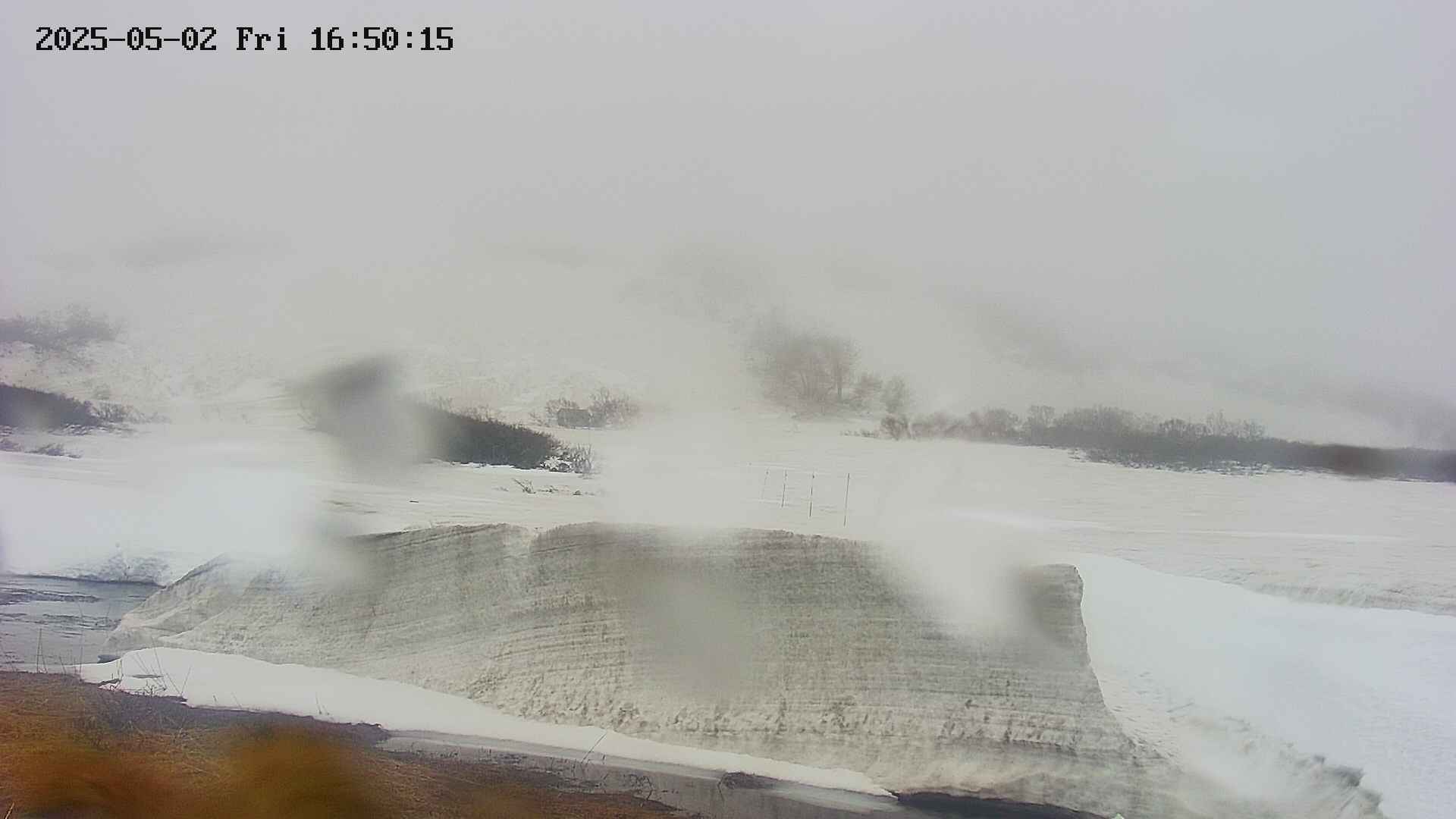 area1-20250502165017.jpg