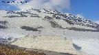 area1-20250503075017.jpg