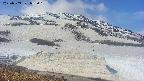 area1-20250503082017.jpg