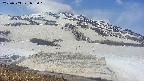 area1-20250503092021.jpg