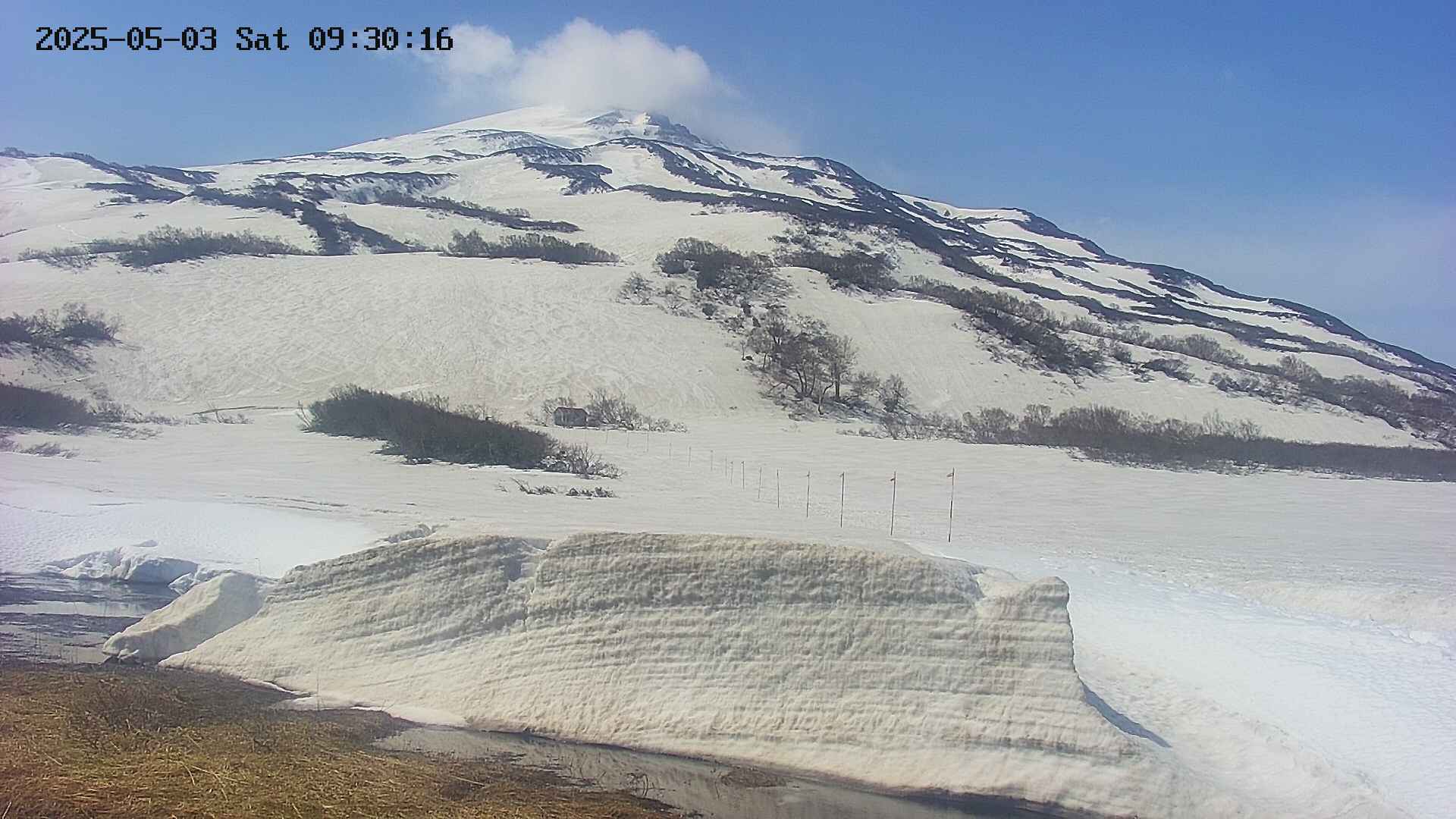 area1-20250503093026.jpg