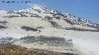 area1-20250503103023.jpg