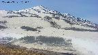 area1-20250503105020.jpg