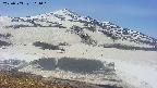 area1-20250503111020.jpg