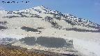 area1-20250503112019.jpg